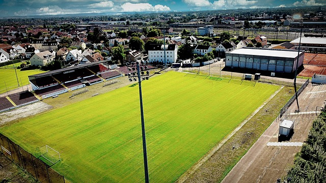 我们有理由 我们有理由