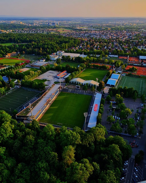 他在场上完 他在场上完