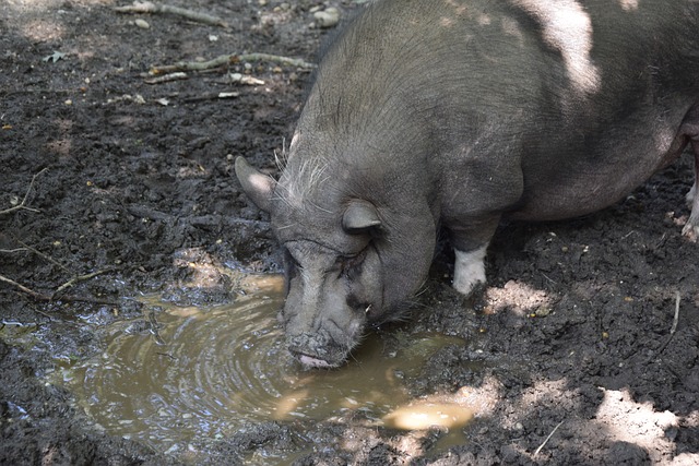 每位球员坚 每位球员坚