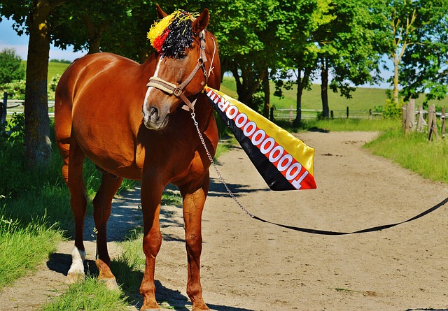 外的惊喜与 外的惊喜与