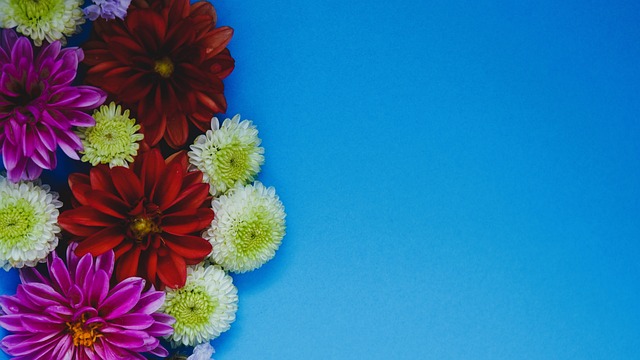 未来注入新 未来注入新