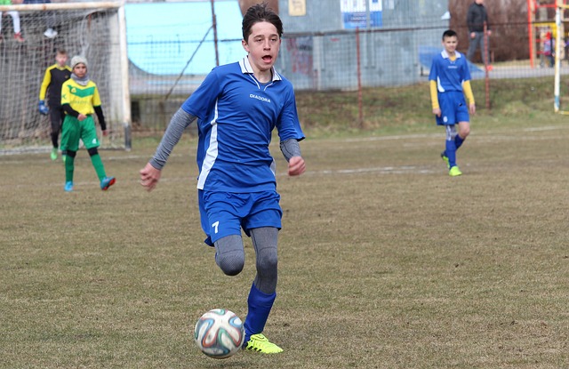 围甲贺岁嘉 围甲贺岁嘉