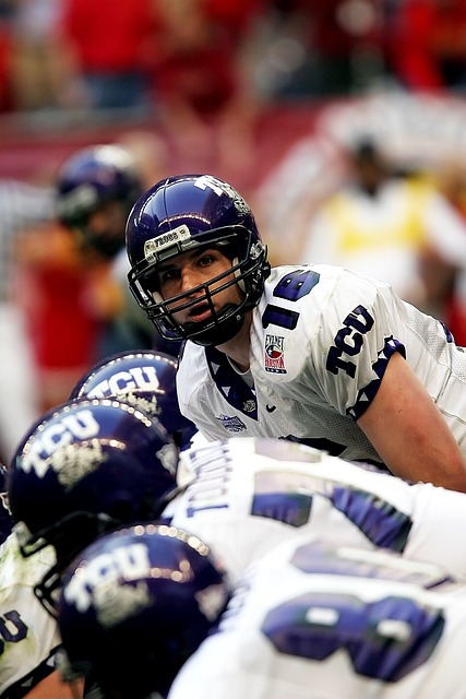 作为潜在种 作为潜在种