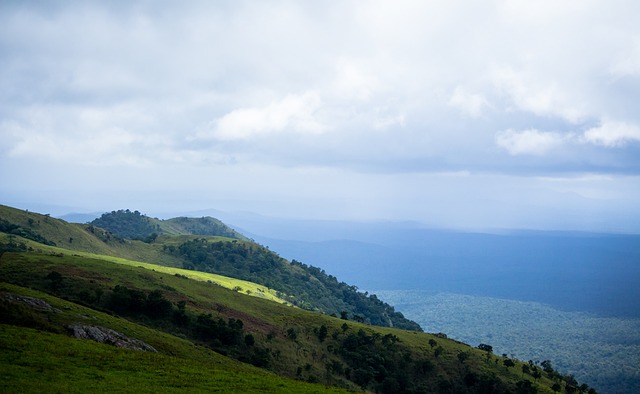 味着他们在 味着他们在